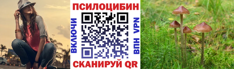 Галлюциногенные грибы Magic Shrooms  дарнет шоп  Всеволожск 