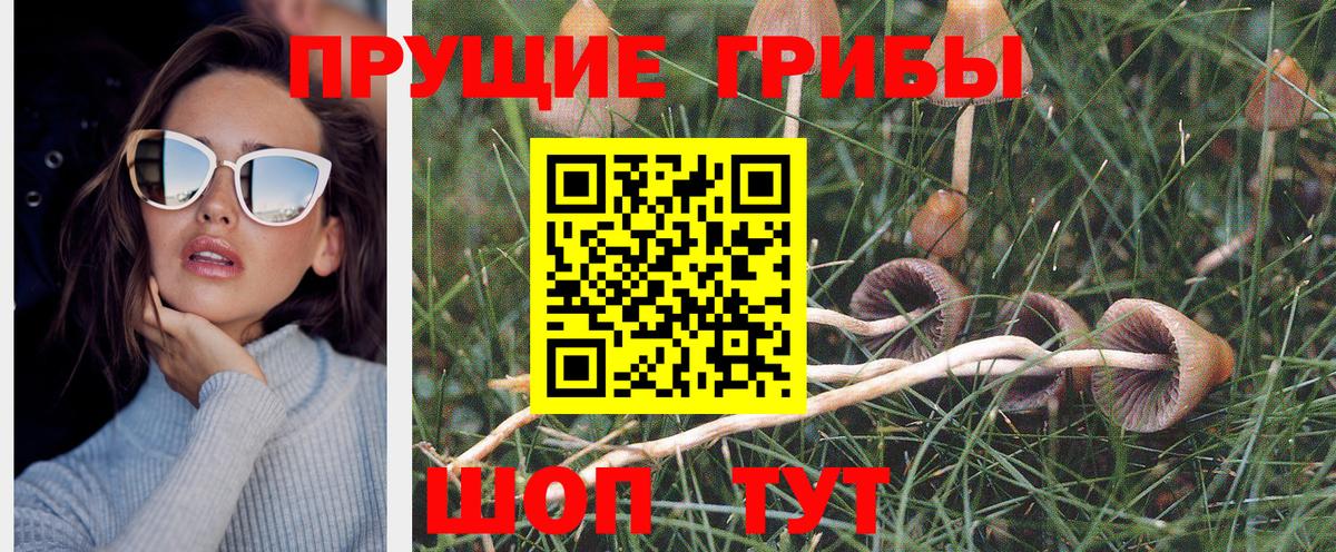 Галлюциногенные грибы MAGIC MUSHROOMS  закладки  Вход с VPN  Всеволожск  Псилоцибиновые грибы Cubensis 