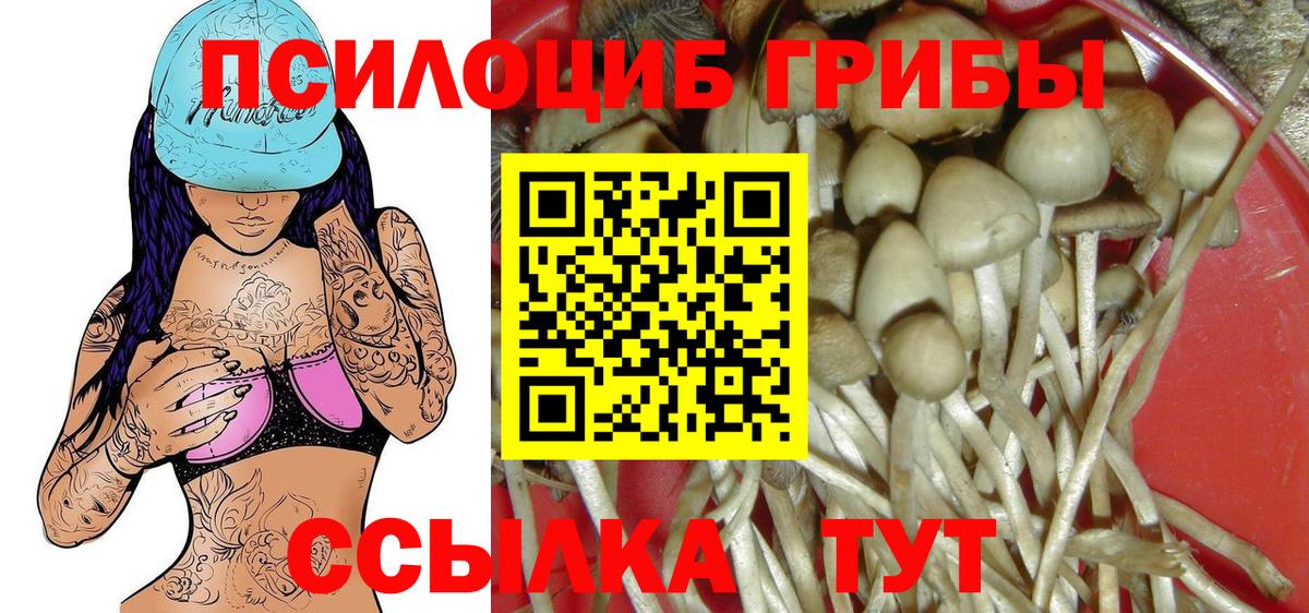Галлюциногенные грибы мицелий Всеволожск